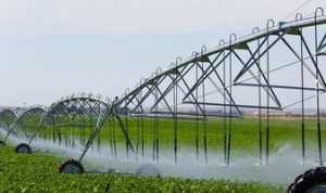 Agriculture-irrigation